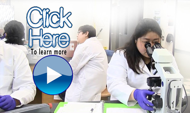Medical Laboratory Technician Video